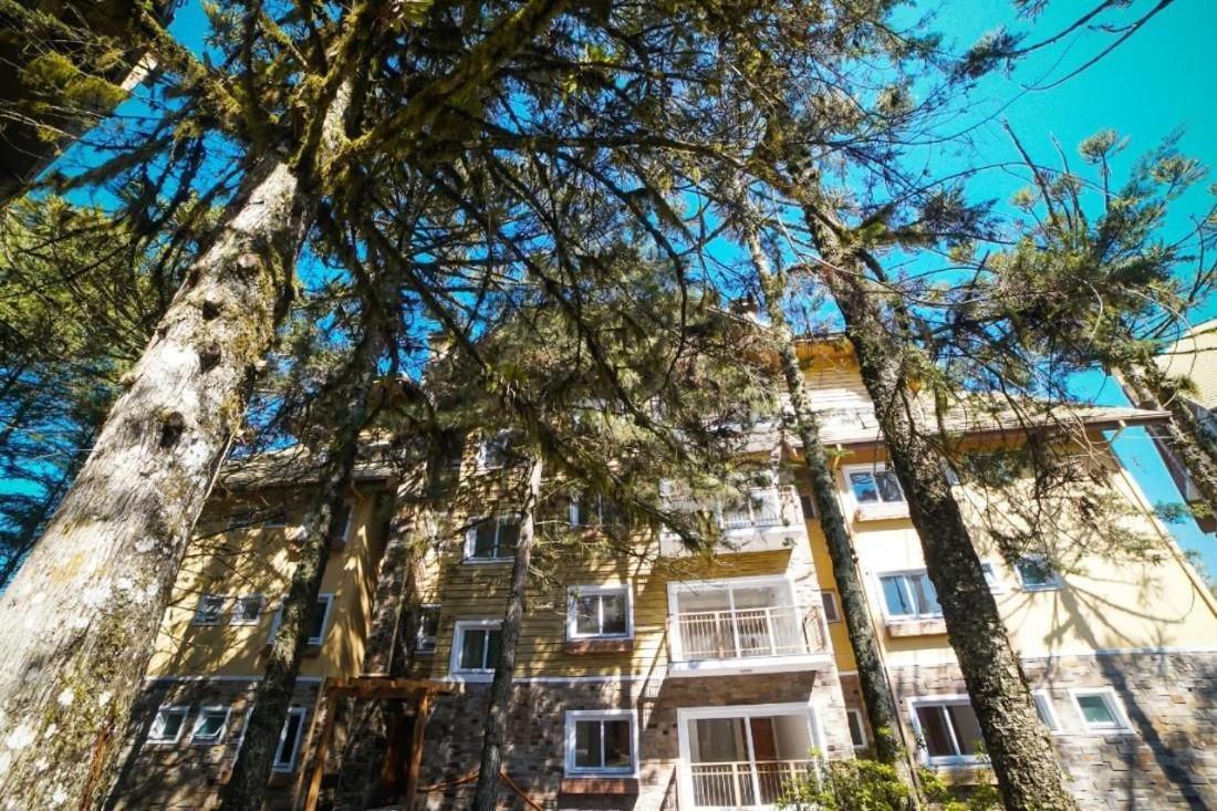 גראמדו Apto 103 B,2, Proximo A Museus E Restaurantes, Condominio Com Piscina Aquecida. מראה חיצוני תמונה